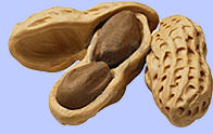 The Peanut