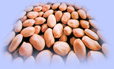 Blanched Peanuts