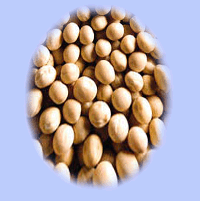 Red Skin Peanuts